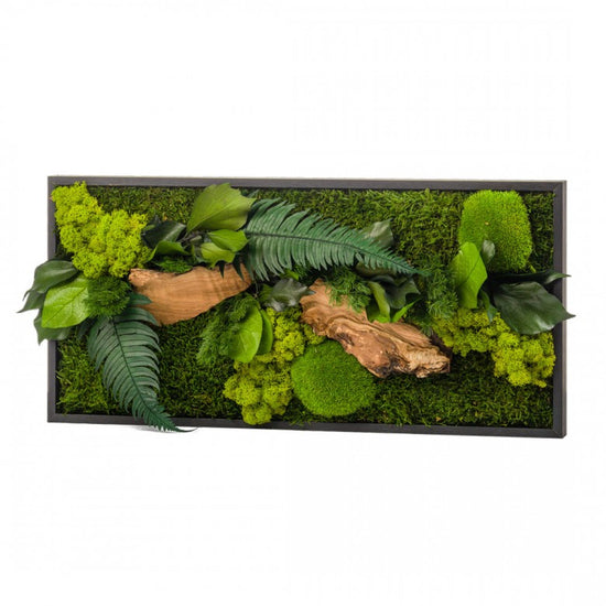 Cadre végétal mural stabilisé mousse cadre rectangle 27x57cm – KIPOK
