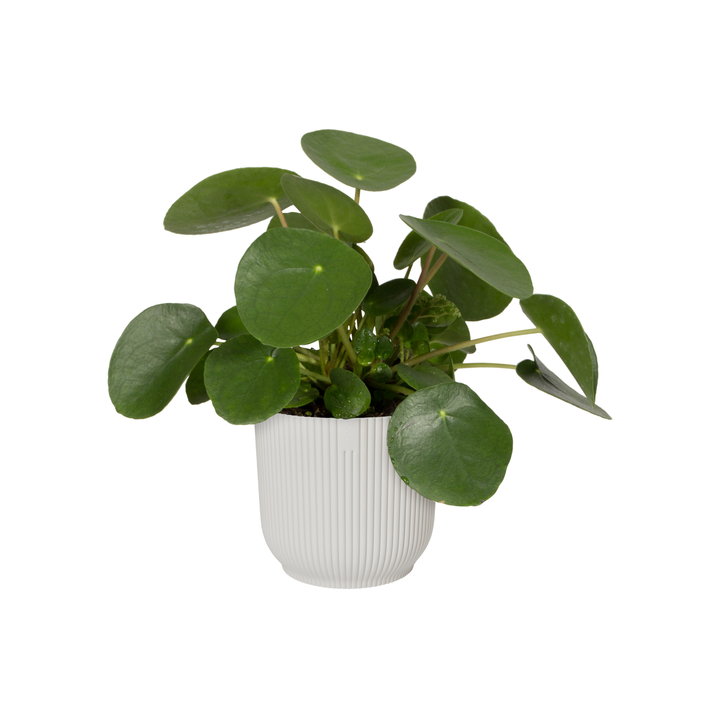 Cache-pot blanc rond 18cm Pot de fleurs plastique recyclé design
